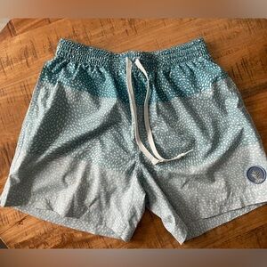 Chubbies Teal and White Patterned Women's Shorts